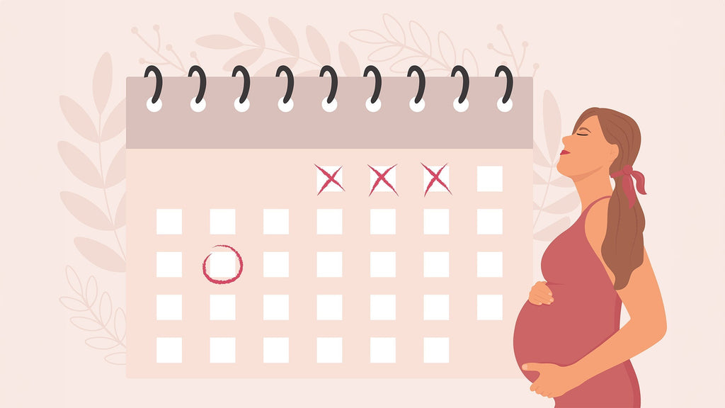 Pregnancy Calculator to Track Your Pregnancy Week by Week
