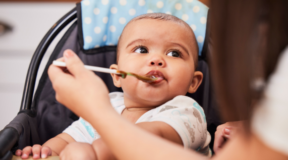 Baby Forest Feeding Kit