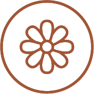 Chamomile Flower Oil