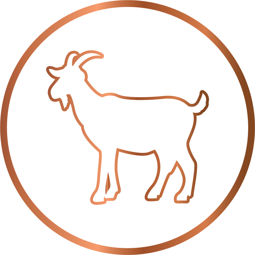 Super soft Goat hair