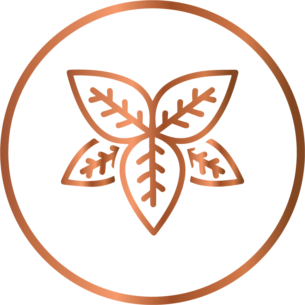 Tulsi (Holy Basil)