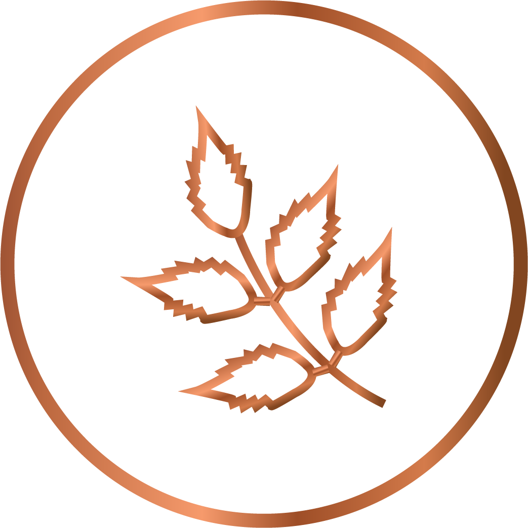 Nimba (Neem)