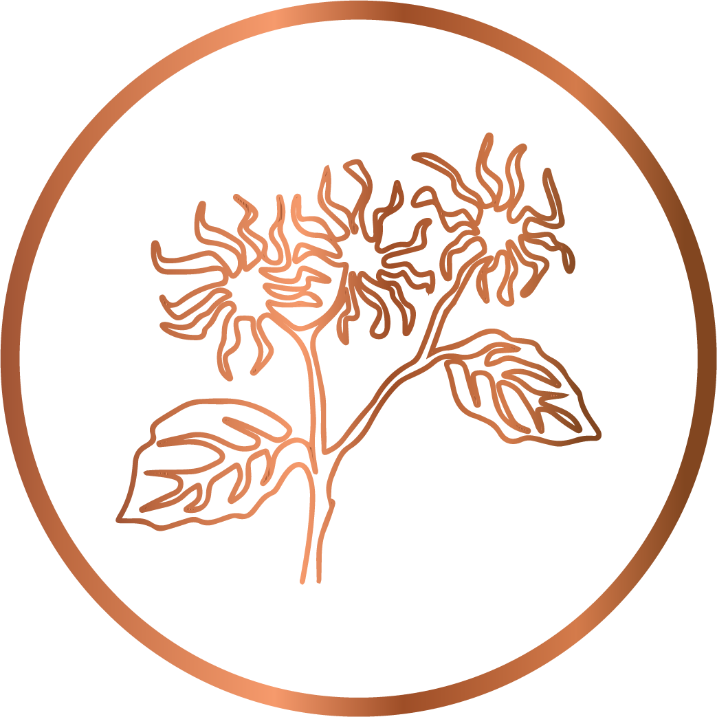 Witch Hazel