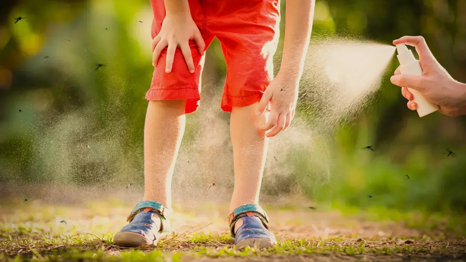 Natural vs Chemical Mosquito Repellents