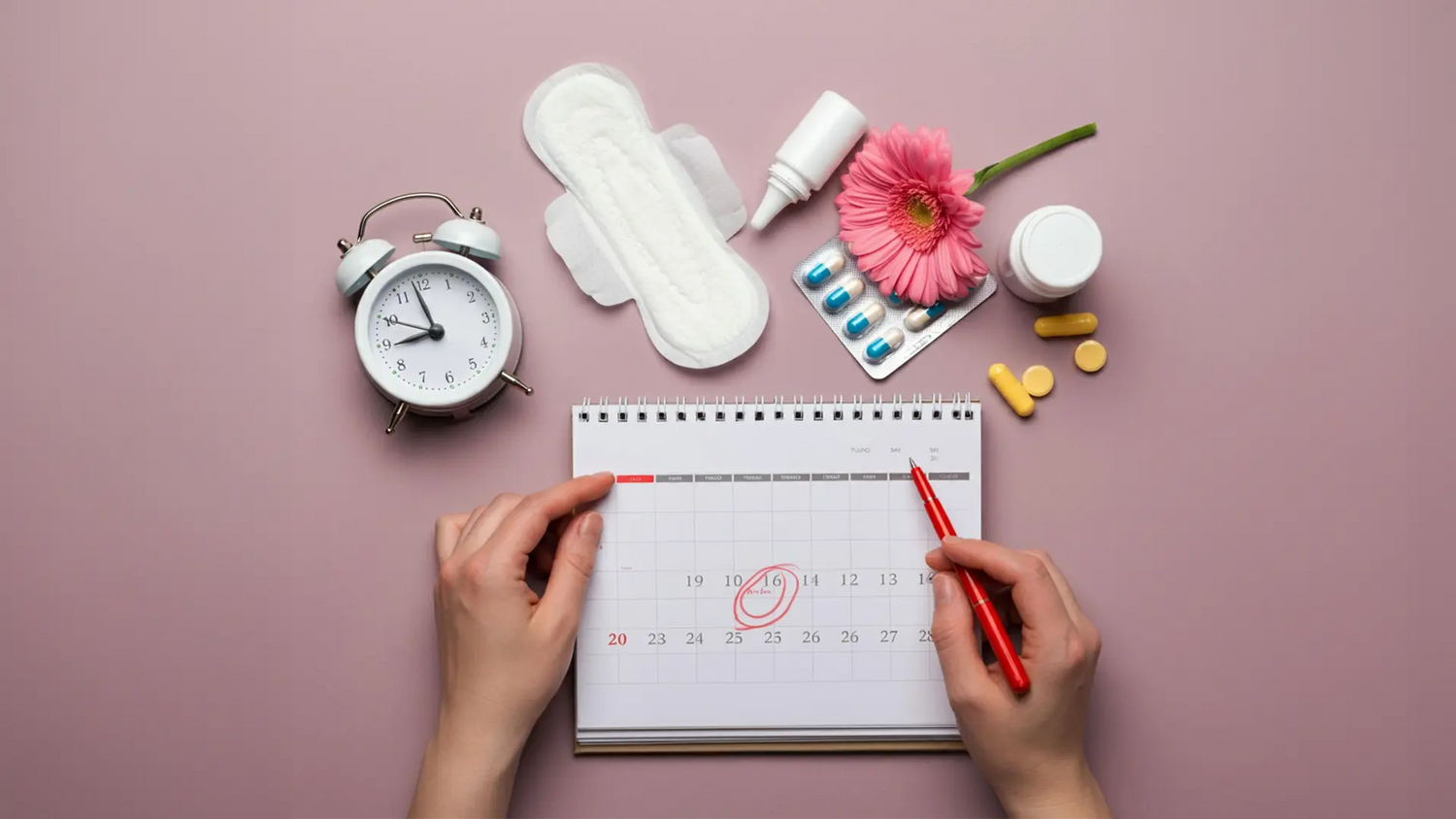 Menstrual Cycle and Ovulation