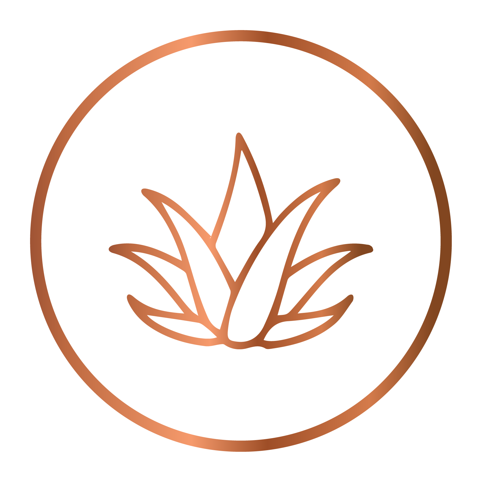 Aloe Vera Extract