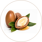 Argan Oil