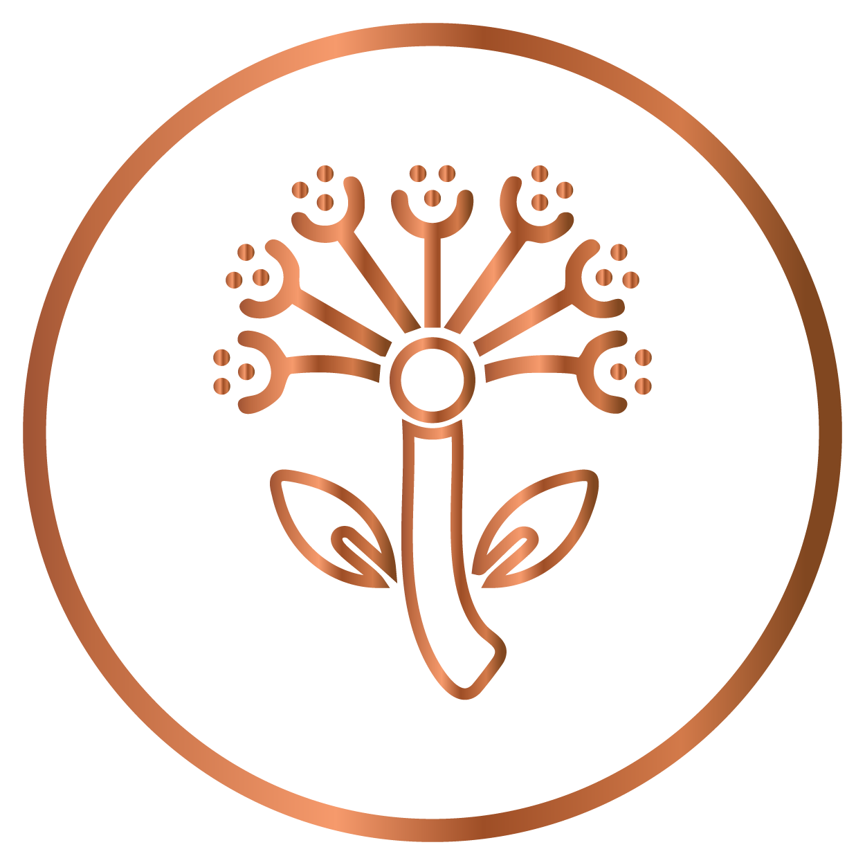 Asafoetida Oil: Provides relief from gas