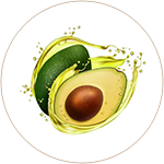 Avocado Oil (Neerabijh Tailam) 