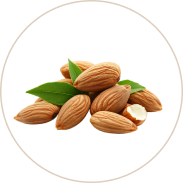 Sweet Almond Oil (Vatada)
