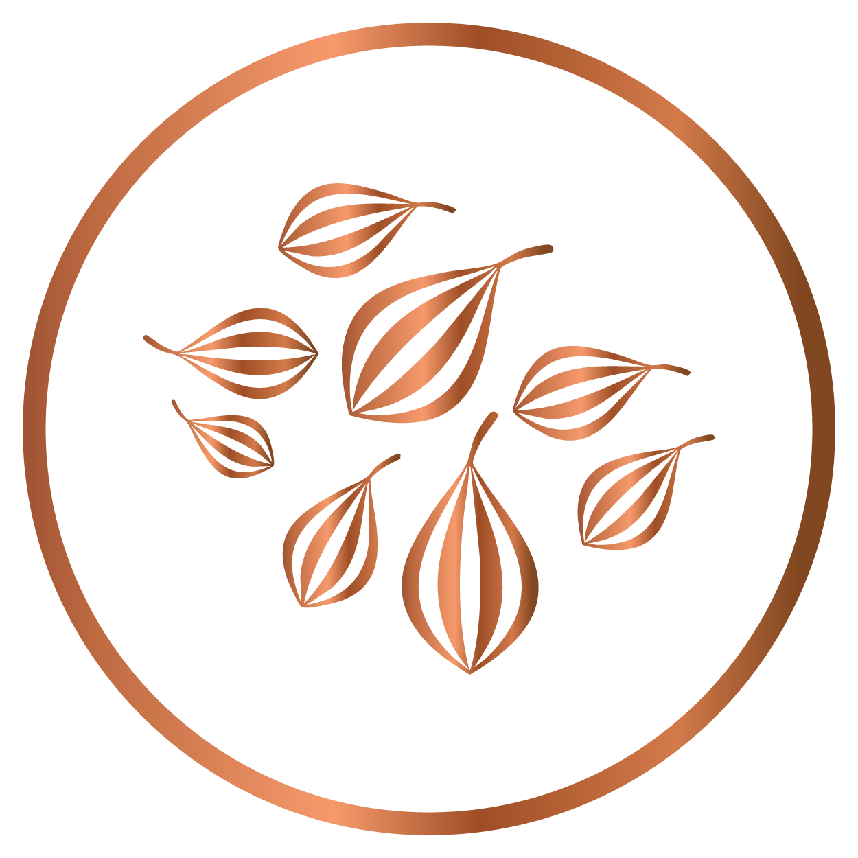 Carom Seeds Oil: Soothes the digestive system