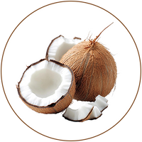 Coconut Oil (Cocos nucifera)