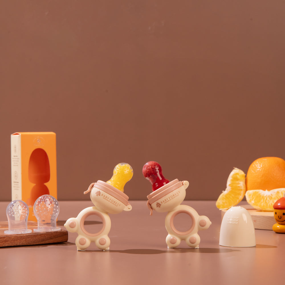 Laalan Paalan Baby Fruit Pacifier