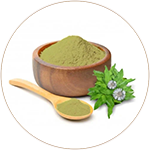 Eclipta Alba Extract (Bhringaraja) 