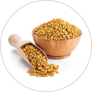 Fenugreek Extract (Methika) 