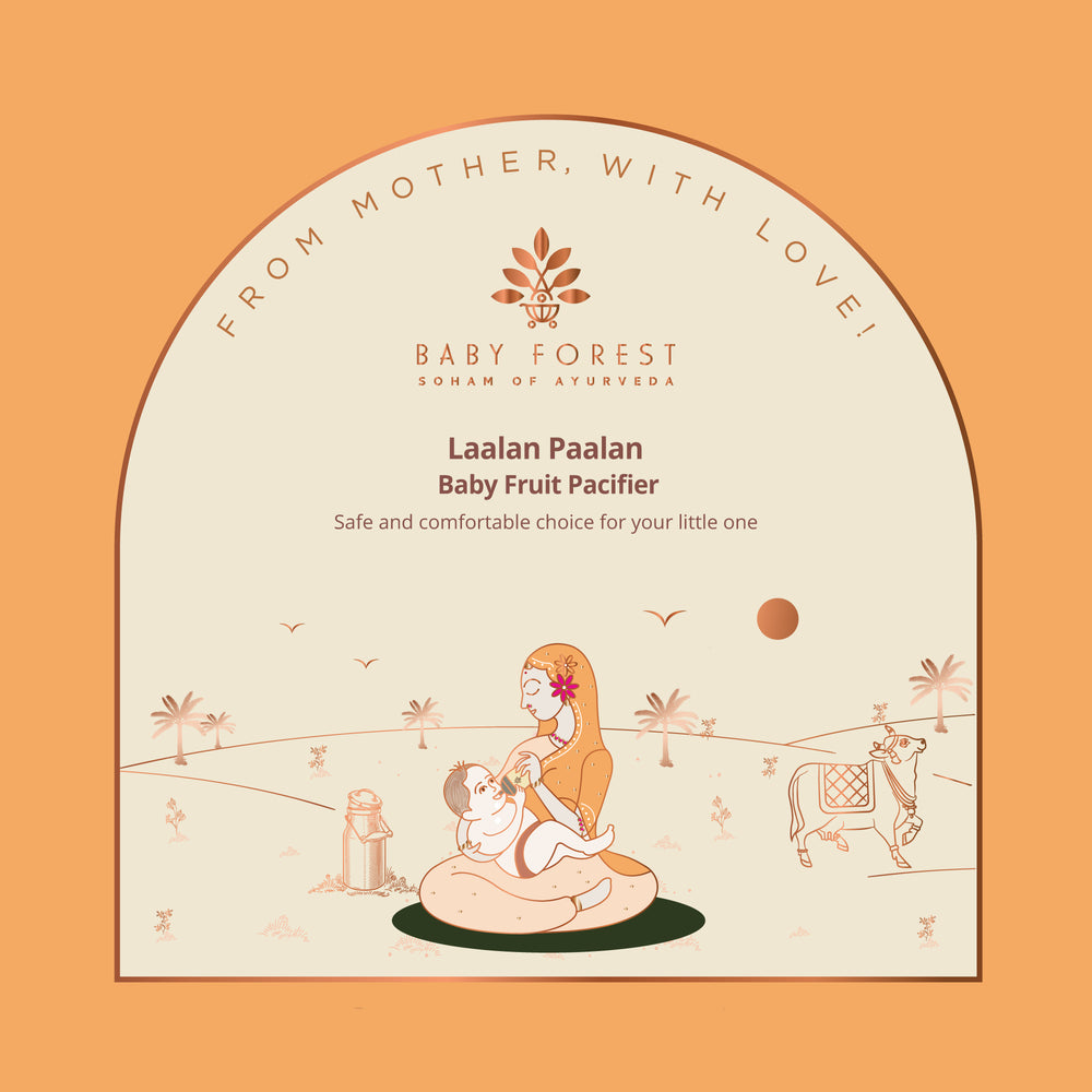 Laalan Paalan Baby Fruit Pacifier