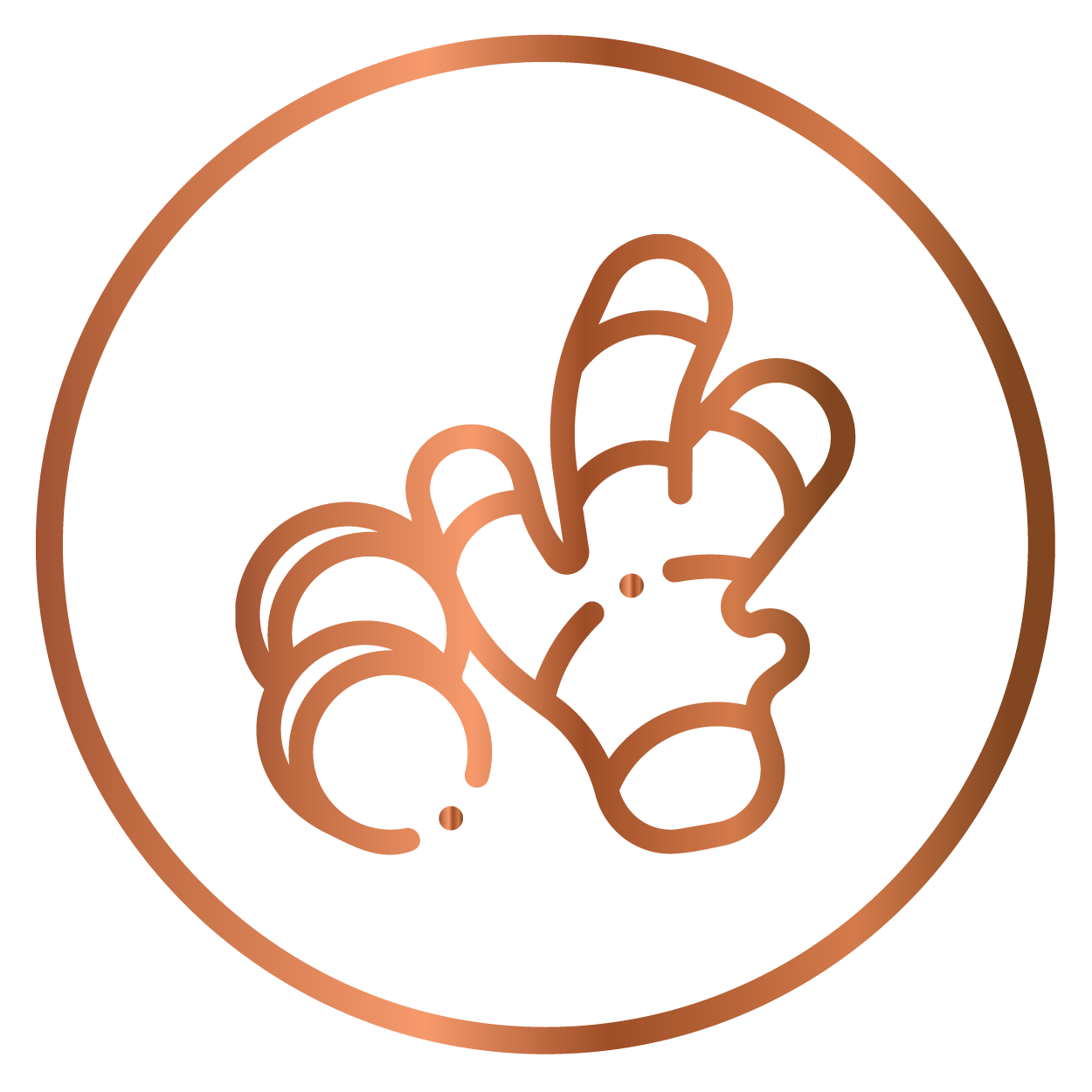 Ginger Oil (Zingiber officinale)