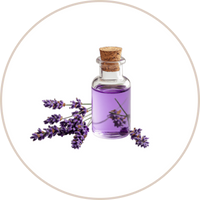 Lavender Oil