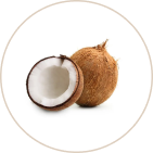 Organically Grown Coconuts 