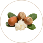 Shea Butter (Shea Makkhanam)