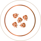 Pentavitin (Corn Kernel – sourced)