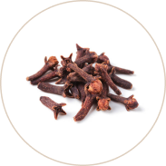 Clove Oil (Lavanga Taila)