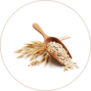 Oats Kernel Flour (Karambha)