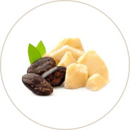 Cacao Seed Butter (Madhvikaphala)