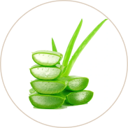 Aloe Leaf Juice (Ghrit Kumari)