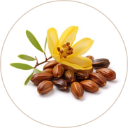 Jojoba oil (Jit Tailam)