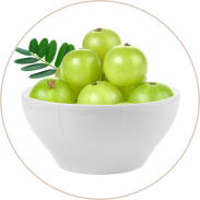 Indian Gooseberry (Amla)