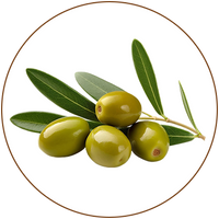 Olive Oil (Olea europaea)