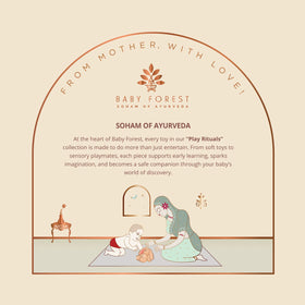 Cuddly Buddies Smart Lion Soft Toy