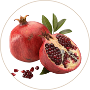 Pomegranate Extract (Anar Dadim)