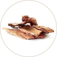 Rose Extract (Paatala-Pushpam)