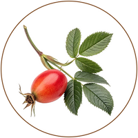 Rosehip Oil (Rosa canina)