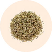 Rosemary Oil (Rusmari Gulmehndi)