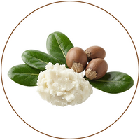 Shea Butter (Butyrospermum parkii)
