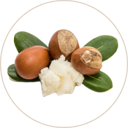 Shea Butter (Shea Makkhanam) 