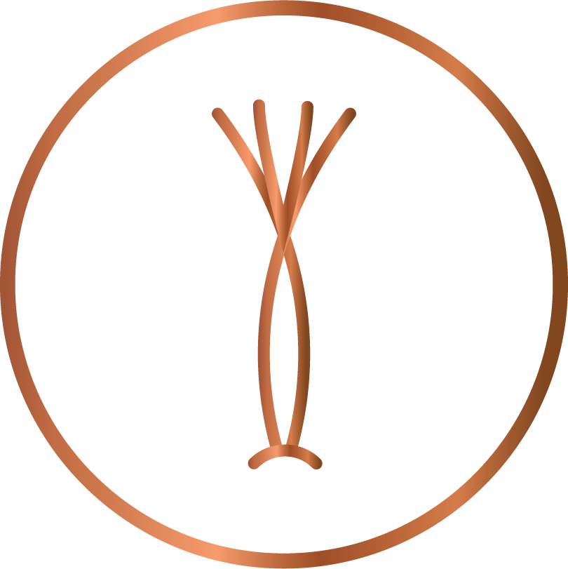 Vetiver