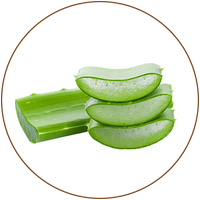 Aloe Vera Extract ( Aloe Barbadensis )