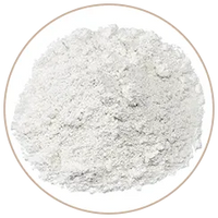 Zinc Oxide (Yashad Bhasm)