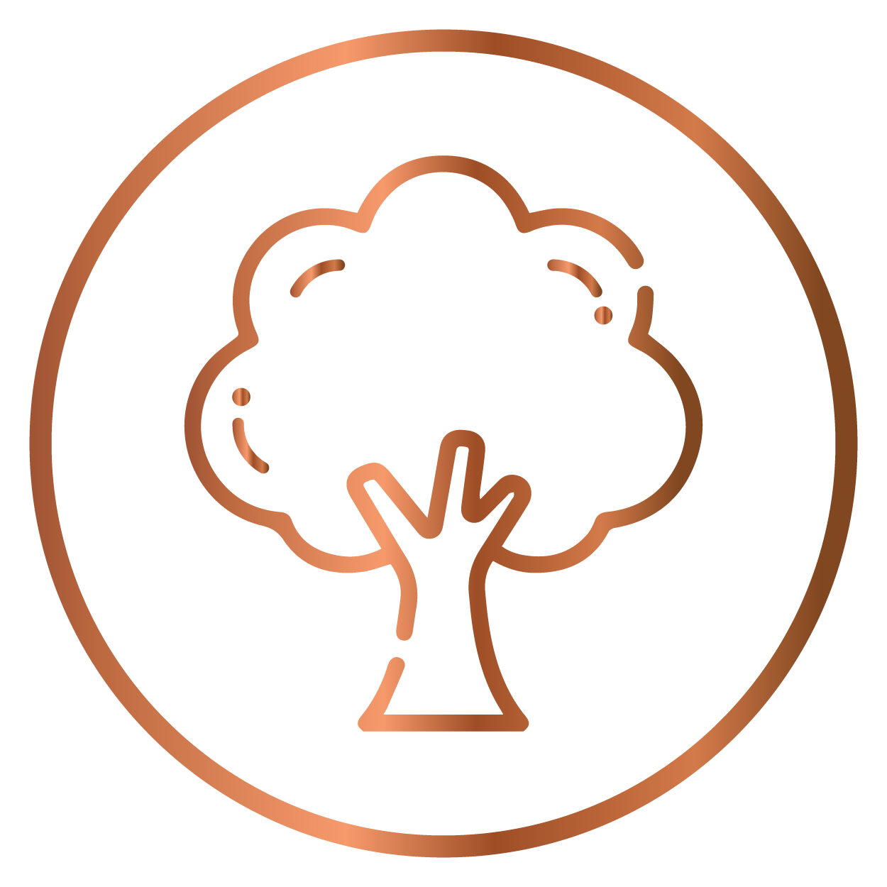 Made with 100% Natural Neem Wood