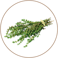 Thyme Oil