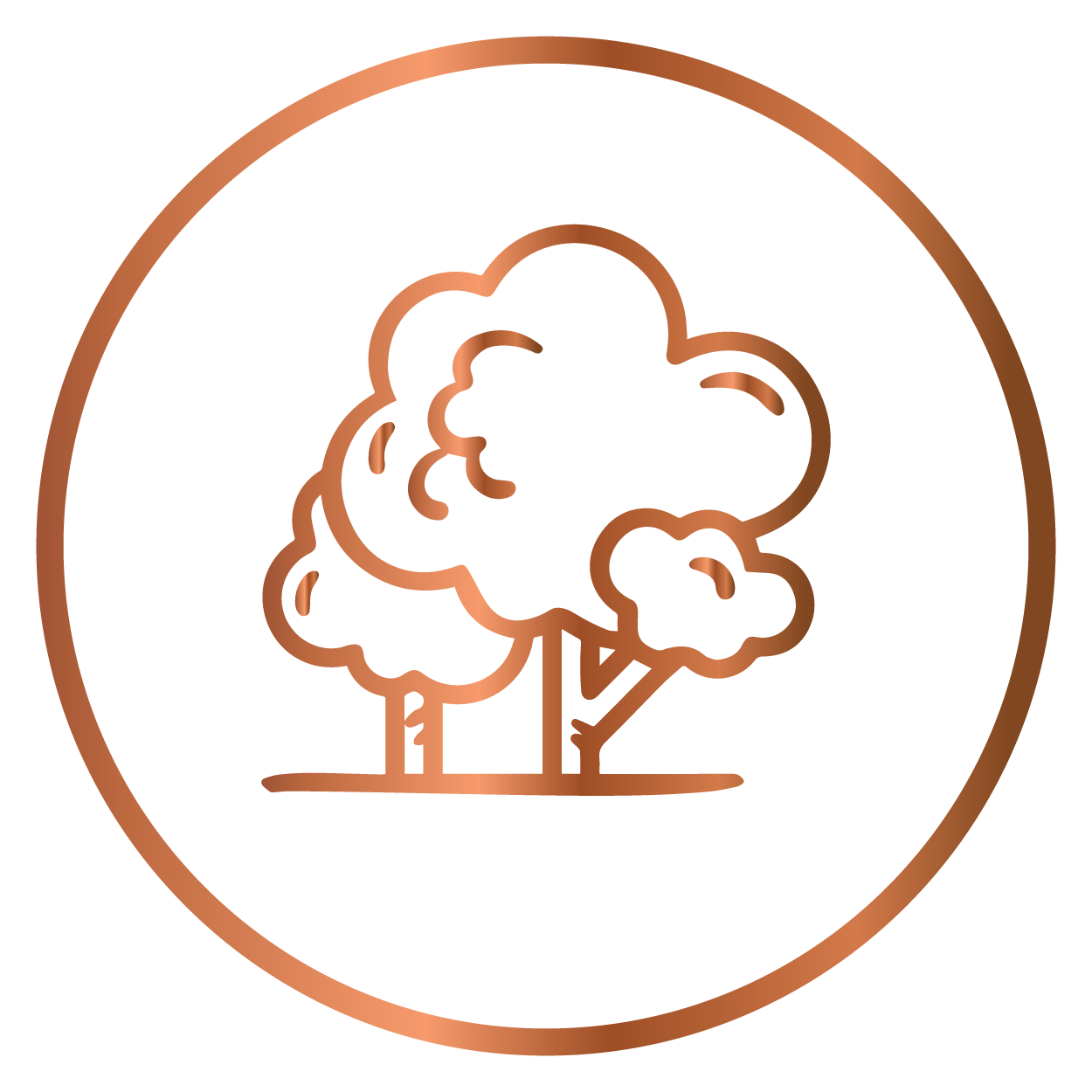 Wooden comb with fine-toothed design